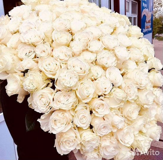 Высокие розы, букеты, цветы Доставка