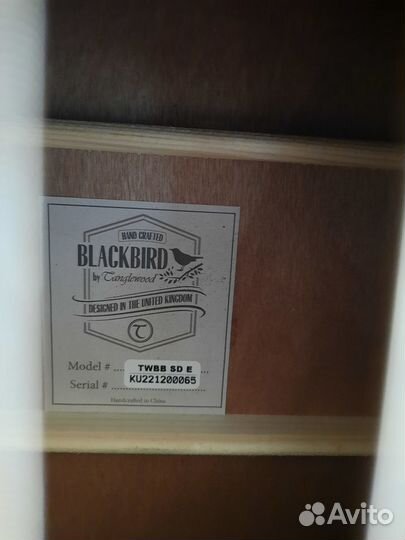 Гитара эл.акуст. Tanglewood Twbb SD E и приятности