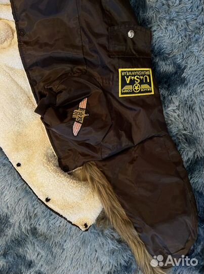 Одежда для собак