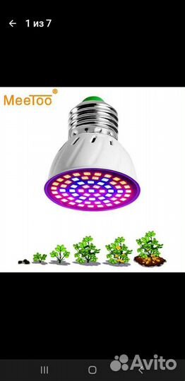 Всякая всячина