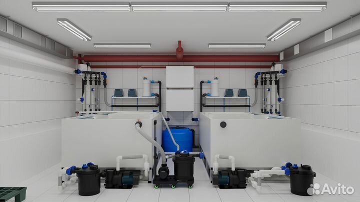 Передержка узв аквариум для морепродуктов на заказ