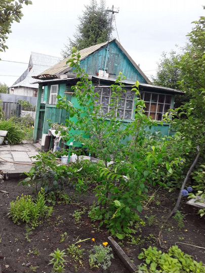 Дача 16 м² на участке 9 сот.