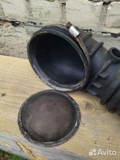 На ауди 100, черепаха