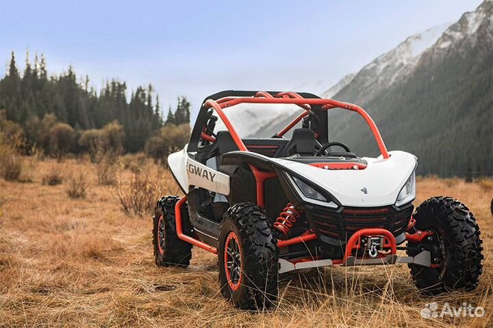 Багги спортивный Segway SSV villain SX10WX