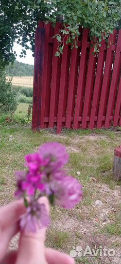 Краска для наружных работ