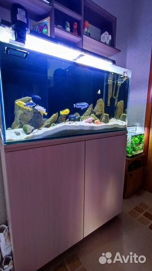 Аквариум