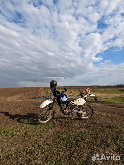 Suzuki djebel 250