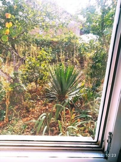 Комната 18 м² в 1-к., 1/2 эт.