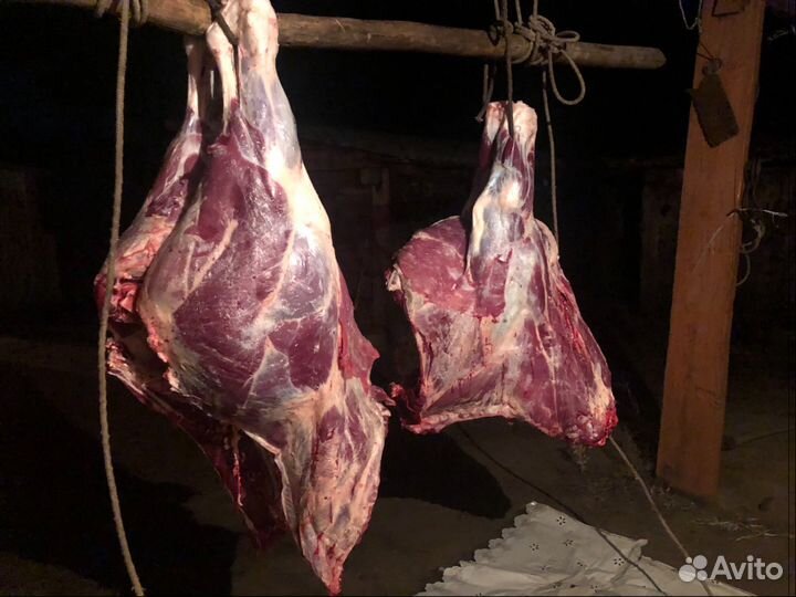 Мясо молодой телятины забой 20августа
