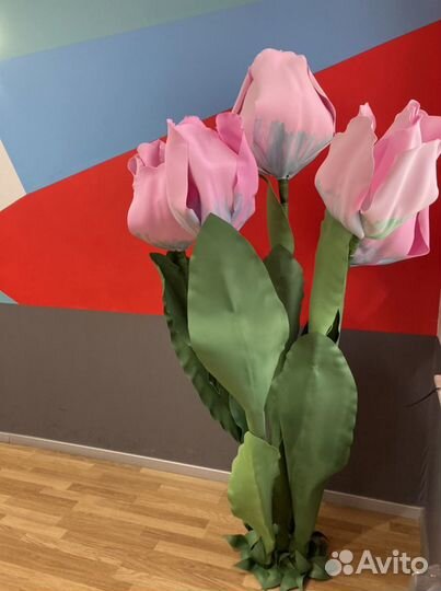 Ростовые цветы в аренду и продажа