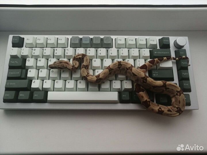 Модификация и сборка кастомных клавиатур