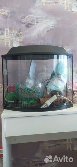 Аквариум