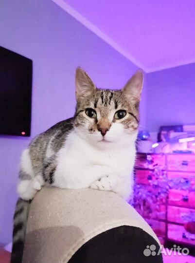 Аксинья осталась без дома