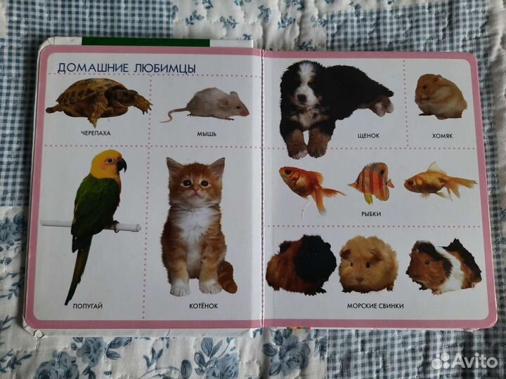 Книга для самых маленьких