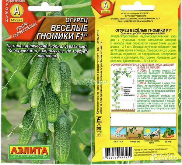 Рассада огурцов