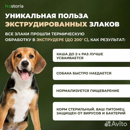 Сухой корм для собак