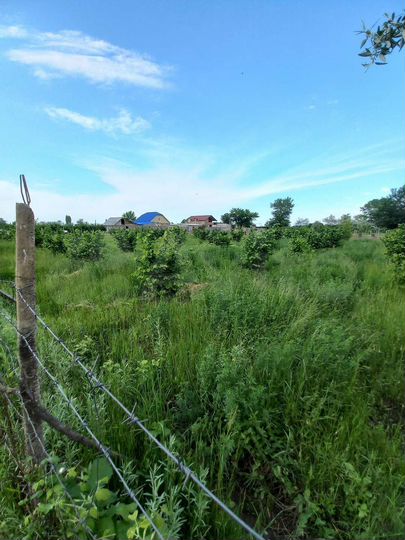Участок 15 сот. (ИЖС)