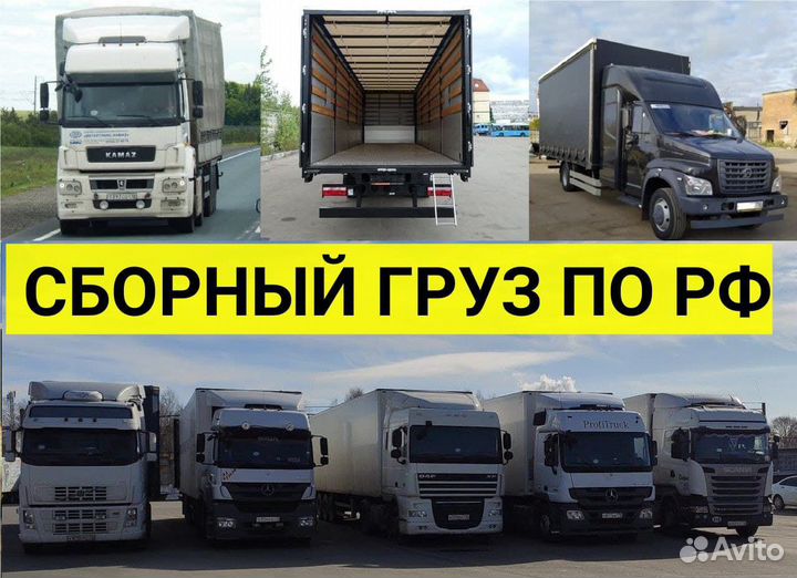 Грузоперевозки.Сборный и попутный груз. мск-спб-рф