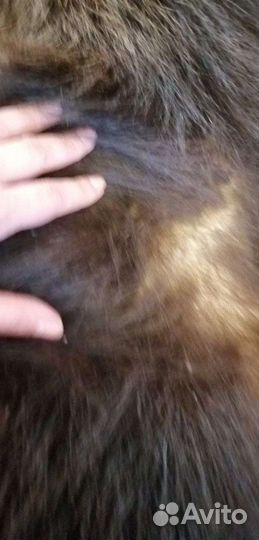 Медведь имитация