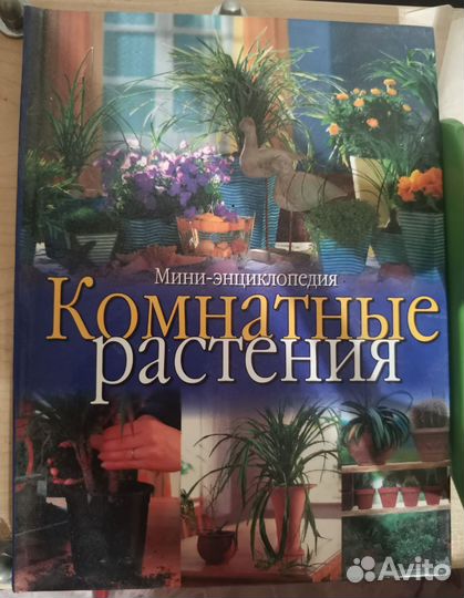 Книга Комнатные растения новая