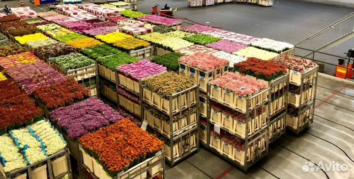 Кладовщик комплектовщик