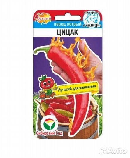 Рассада острого перца