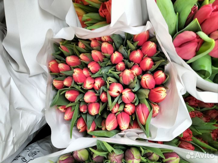 Букет крупных тюльпанов к 8 марта