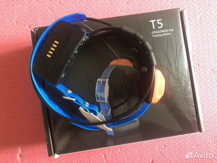 Ошейник Гармин T5 с синим ремнем