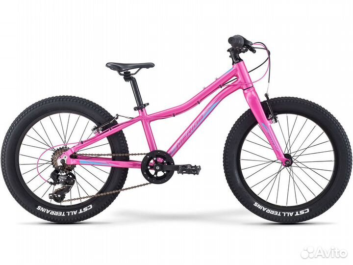 Детский велосипед Merida Matts J20+ Eco 2022