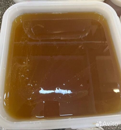 Натуральный мёд липовый. 2023 г. Опт