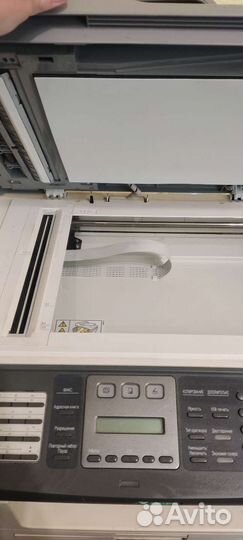 Принтеры и мфу epson ricoh