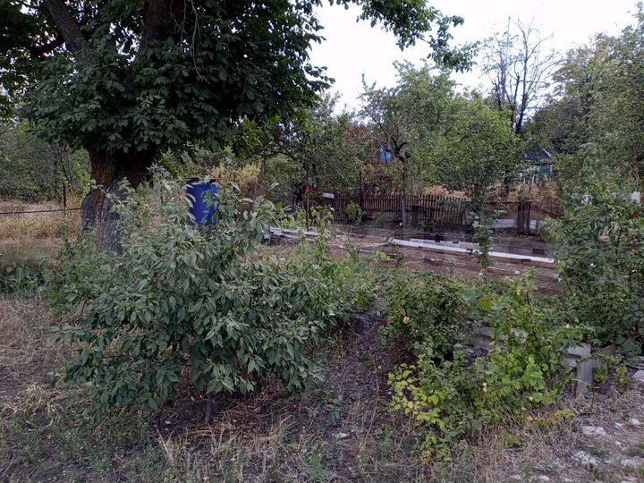 Дача 20 м² на участке 6,4 сот.