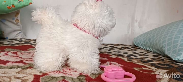 Детские игрушки