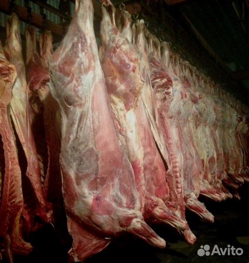 Продукты питания оптом