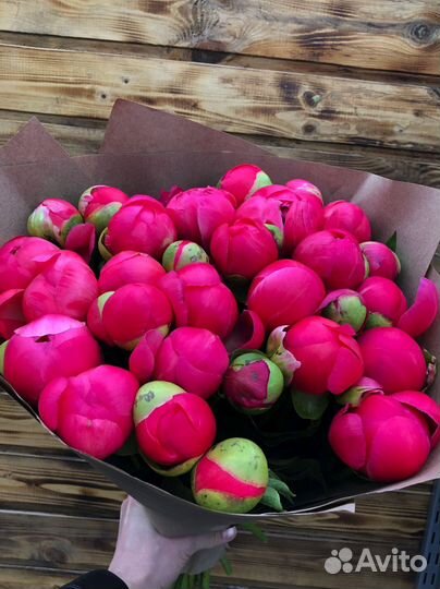 Пионы с доставкой