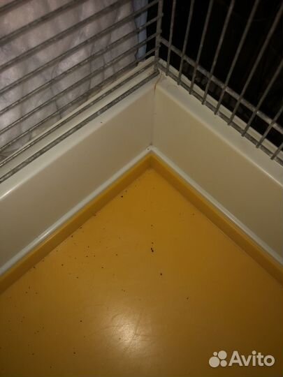 Большая клетка для попугая