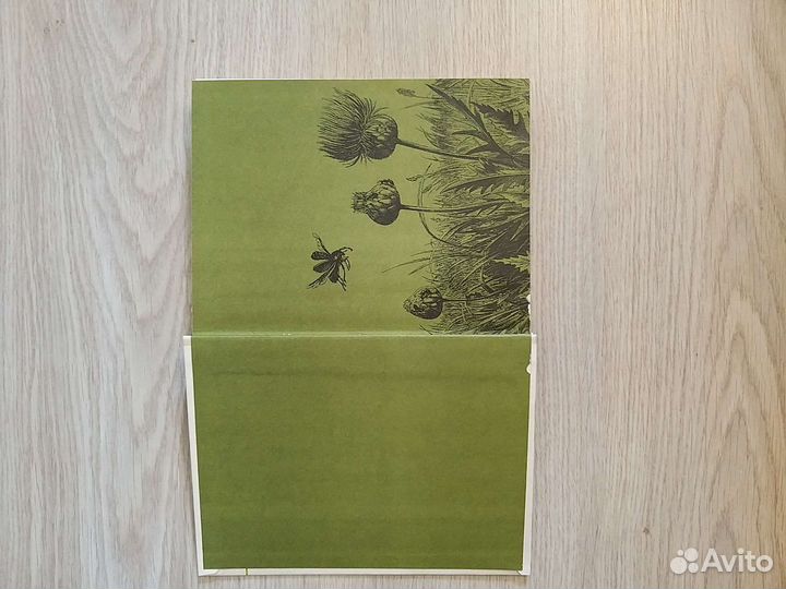 Книга лекарственные растения в быту 1989г