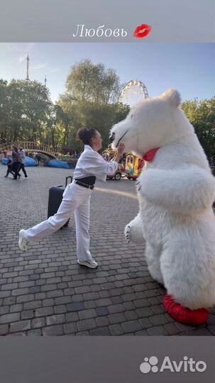 Белый Мишка Самара