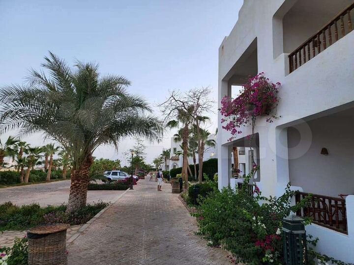 Квартира-студия, 60 м² (Египет)
