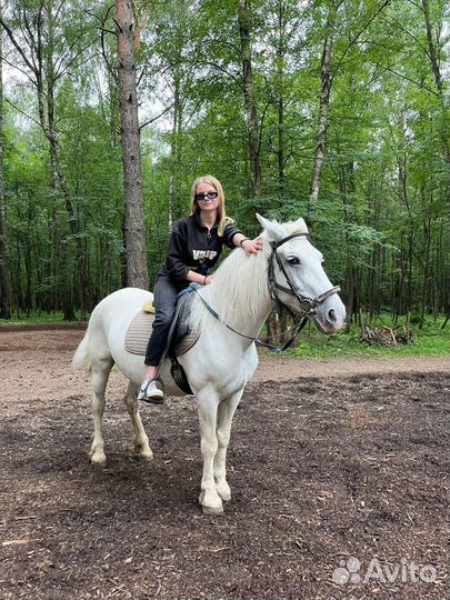 Продам кобылу