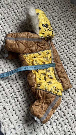 Одежда для маленьких собак