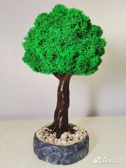 Интерьерное дерево со стабилизированным мхом