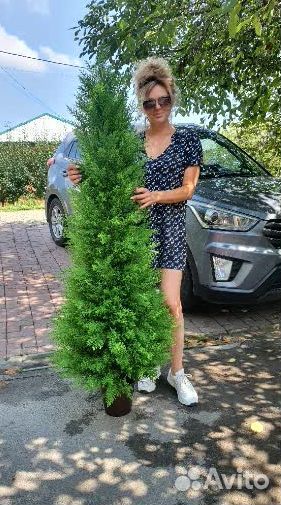 Искусственная туя Озеленение