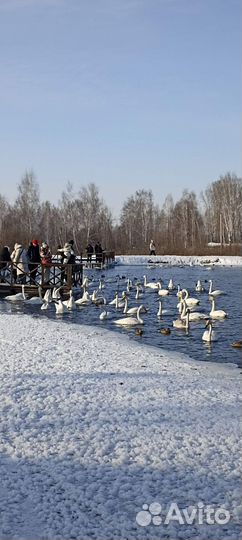 22 декабря Места силы