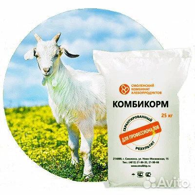Зерно/Комбикорм