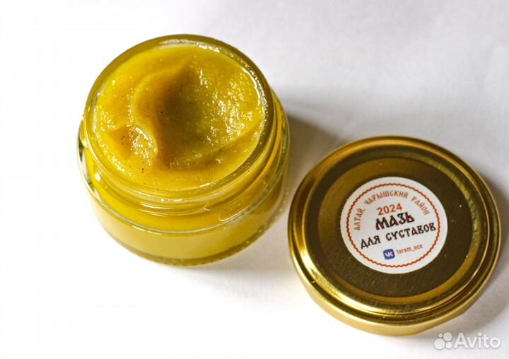 Мазь для суставов и позвоночника с сабельником