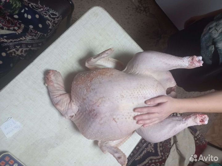 Продукты питания