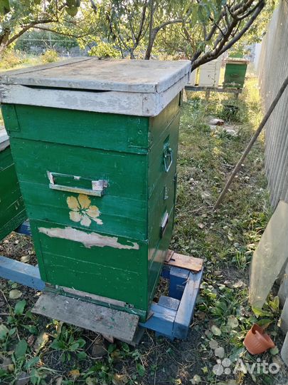 Улей для пчел бу
