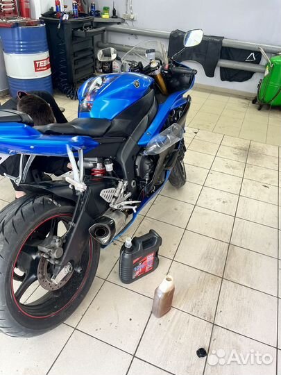 Yamaha R6