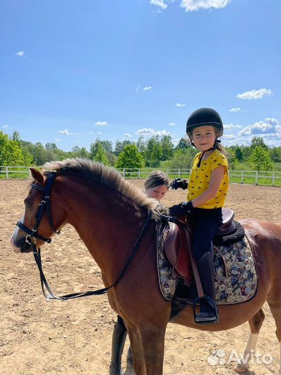 Экскурсия на конюшню